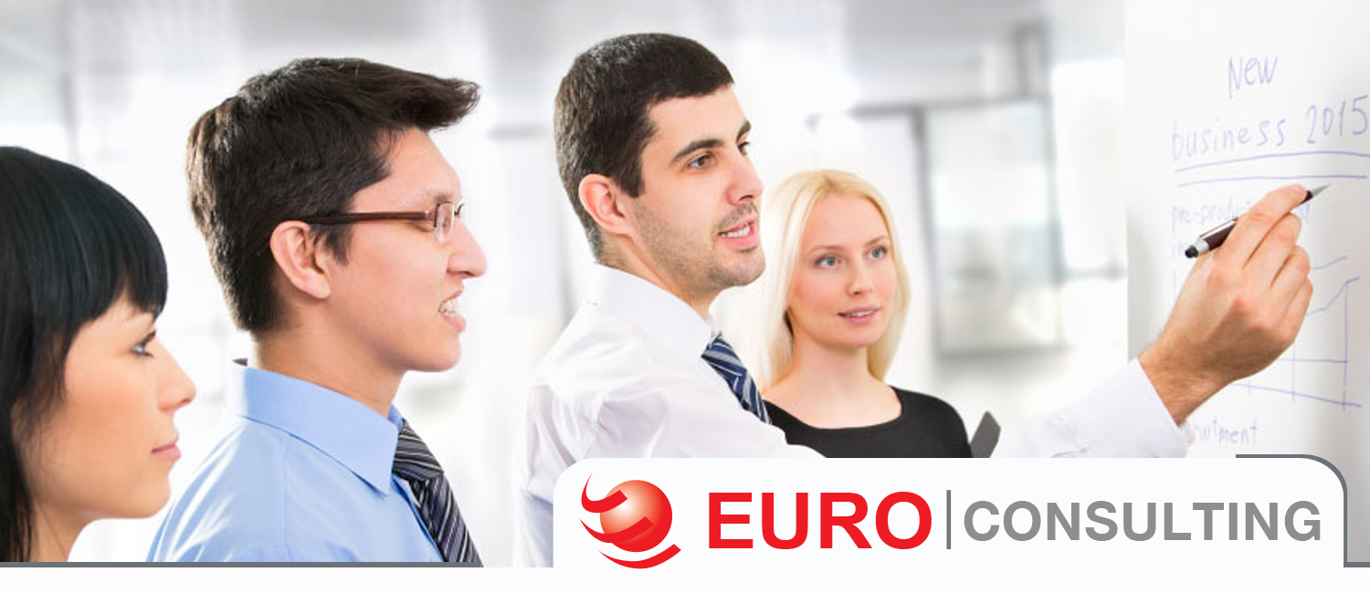 Euro consulting services